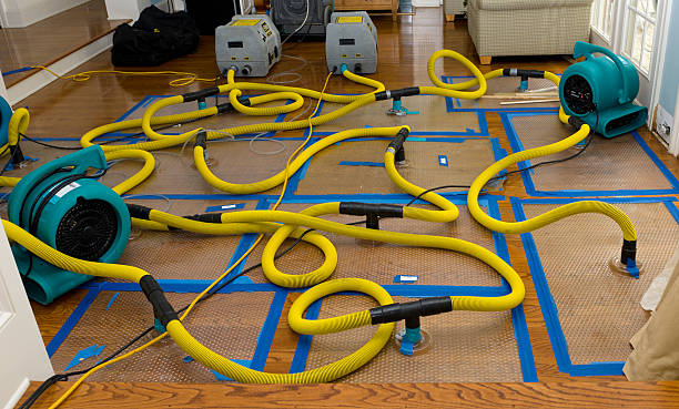 Professional Crawl Space Water Removal technician working in Newport, RI